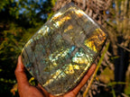 Polished Labradorite Standing Display Pieces x 2 From Madagascar - Toprock Gemstones and Minerals 