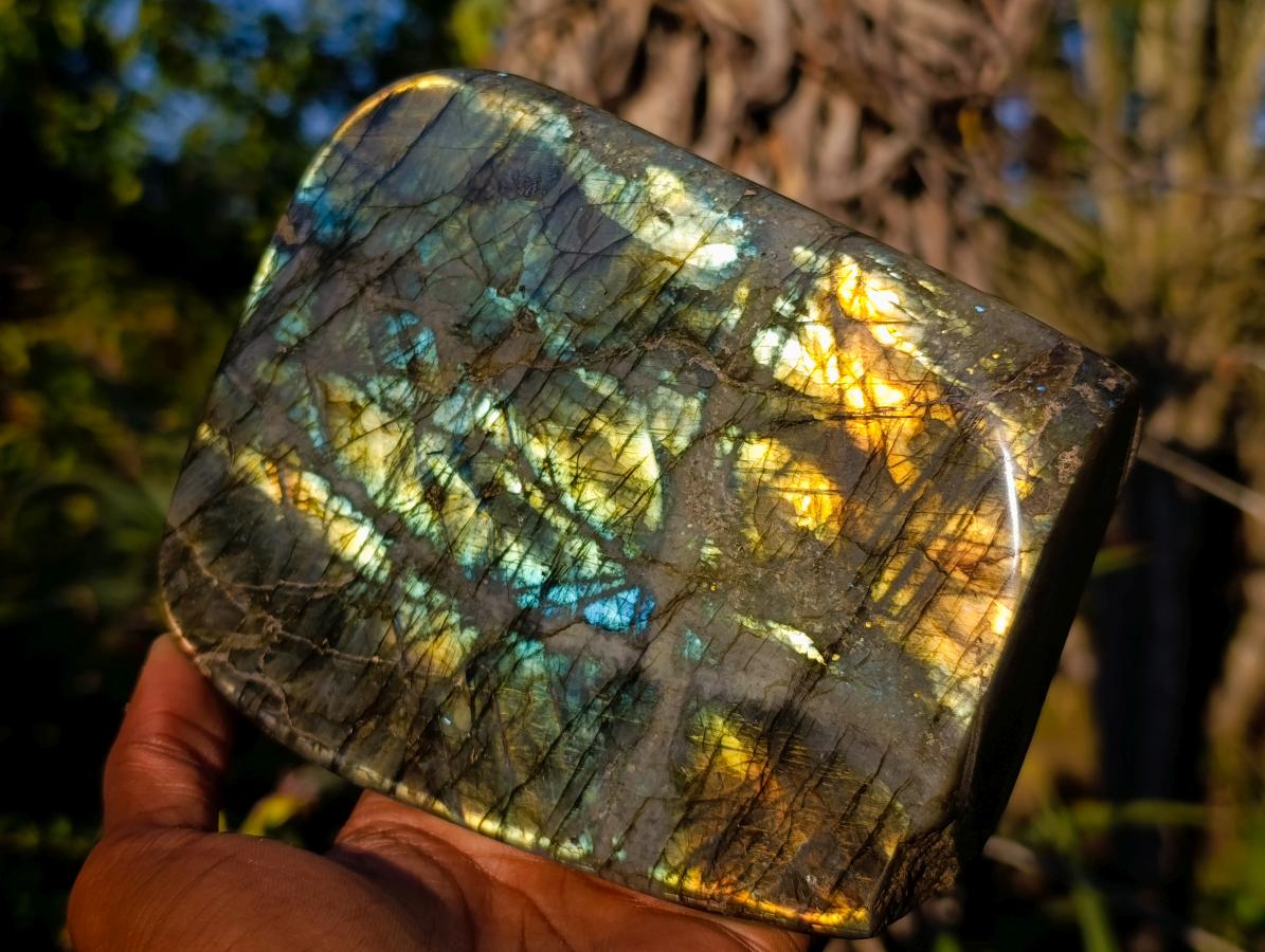 Polished Labradorite Standing Display Pieces x 2 From Madagascar - Toprock Gemstones and Minerals 