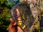 Polished Labradorite Standing Display Pieces x 2 From Madagascar - Toprock Gemstones and Minerals 