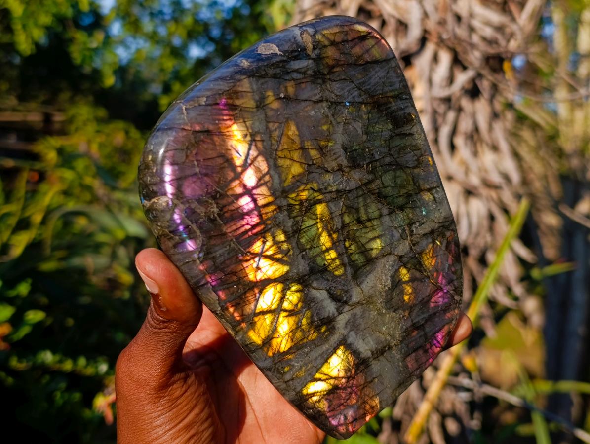 Polished Labradorite Standing Display Pieces x 2 From Madagascar - Toprock Gemstones and Minerals 