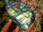 Polished Labradorite Standing Display Pieces x 2 From Madagascar - Toprock Gemstones and Minerals 