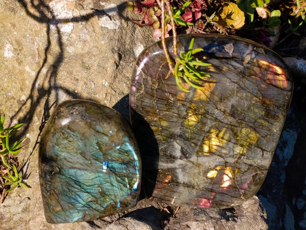 Polished Labradorite Standing Display Pieces x 2 From Madagascar - Toprock Gemstones and Minerals 