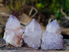 Natural Spirit Amethyst and Spirit Ametrine Crystals x 20 From Boekenhouthoek, South Africa - Toprock Gemstones and Minerals 