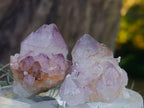 Natural Spirit Amethyst and Spirit Ametrine Crystals x 20 From Boekenhouthoek, South Africa - Toprock Gemstones and Minerals 
