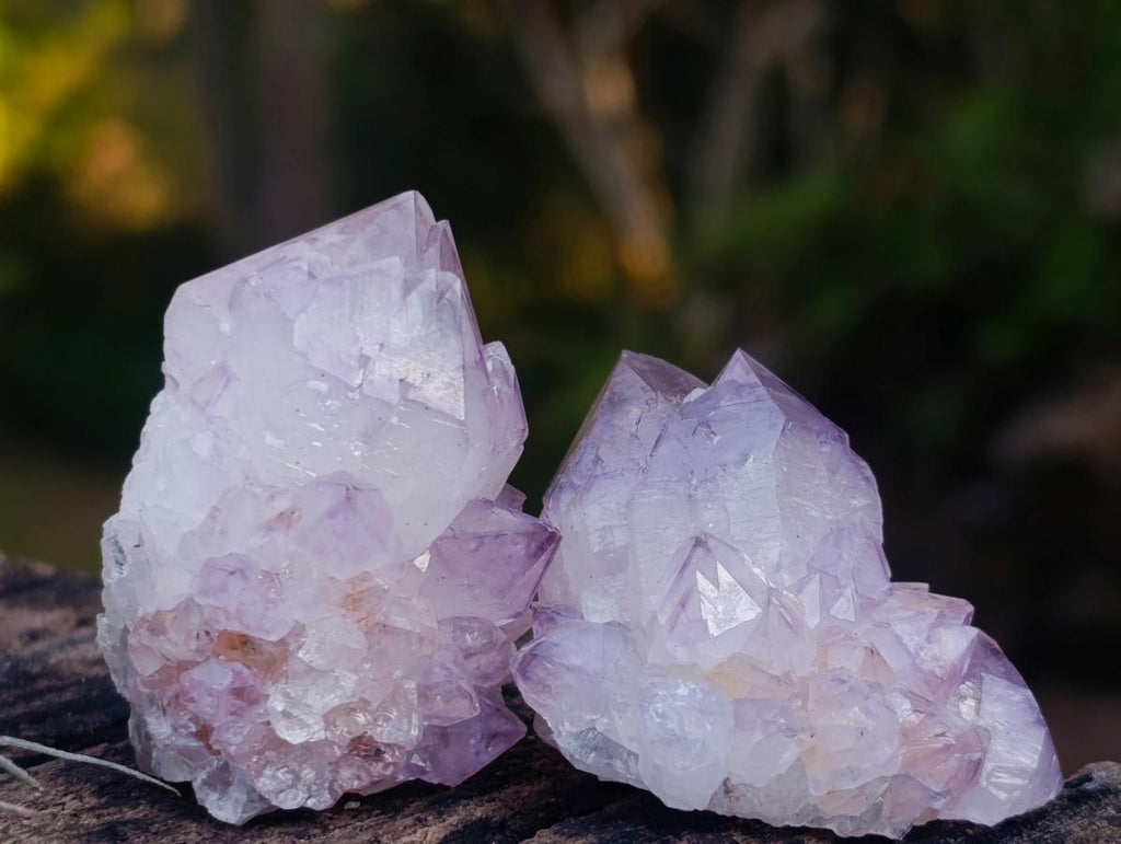 Natural Spirit Amethyst and Spirit Ametrine Crystals x 20 From Boekenhouthoek, South Africa - Toprock Gemstones and Minerals 