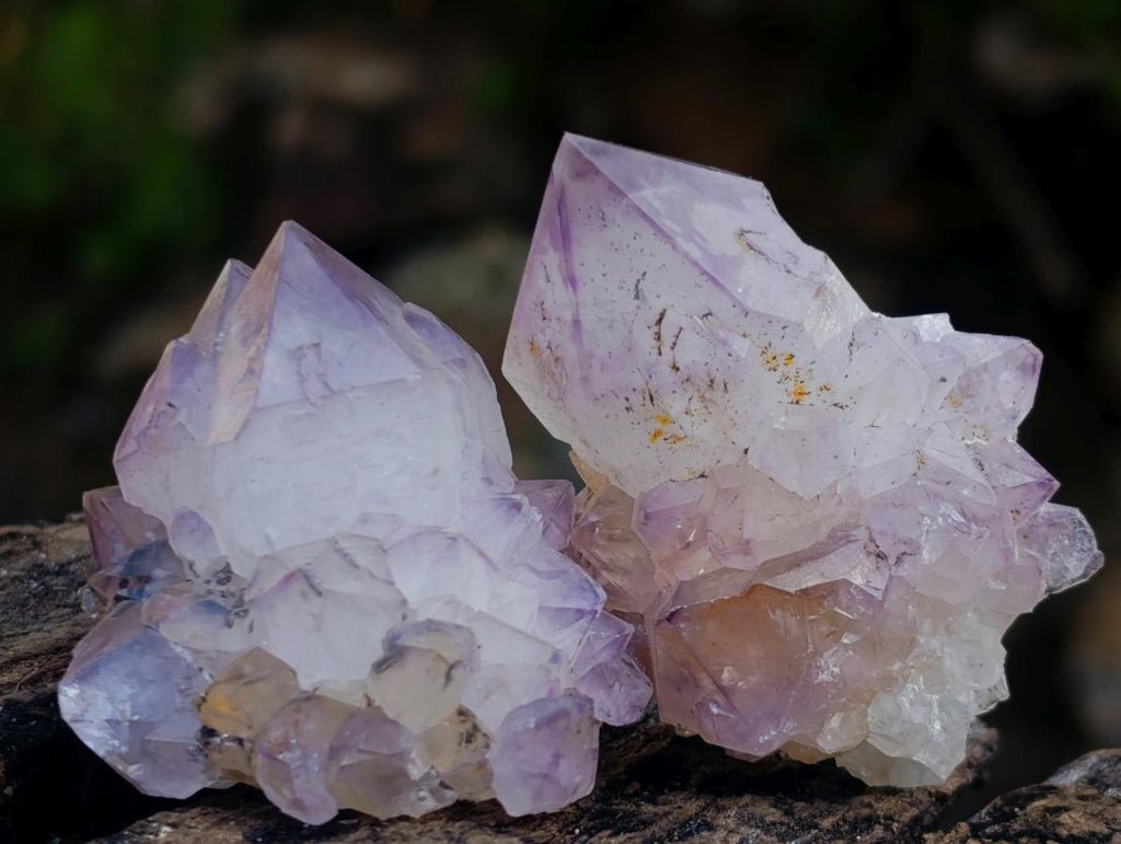 Natural Spirit Amethyst and Spirit Ametrine Crystals x 20 From Boekenhouthoek, South Africa - Toprock Gemstones and Minerals 