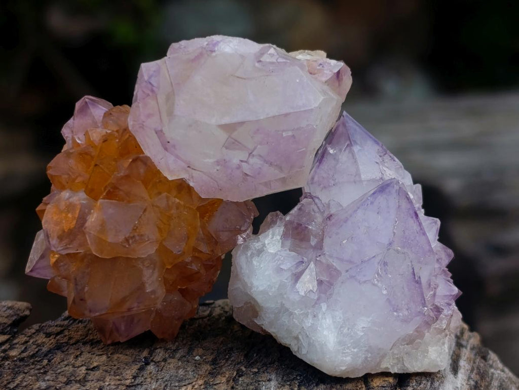 Natural Spirit Amethyst and Spirit Ametrine Crystals x 20 From Boekenhouthoek, South Africa - Toprock Gemstones and Minerals 