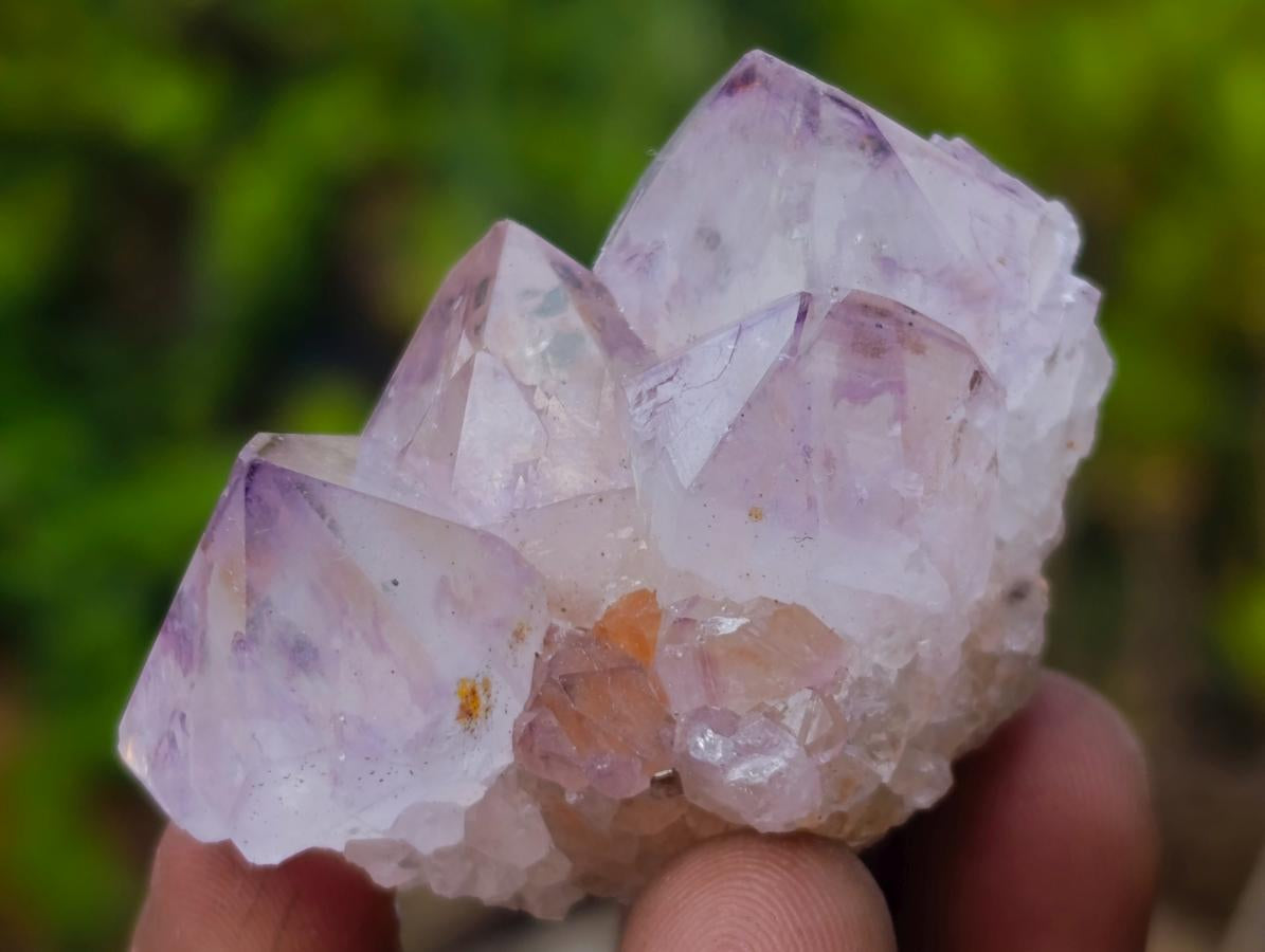 Natural Spirit Amethyst and Spirit Ametrine Crystals x 20 From Boekenhouthoek, South Africa - Toprock Gemstones and Minerals 