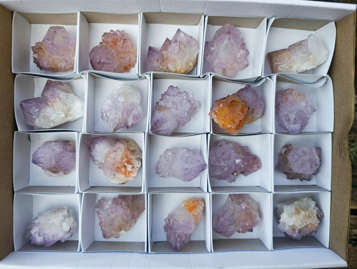 Natural Spirit Amethyst and Spirit Ametrine Crystals x 20 From Boekenhouthoek, South Africa - Toprock Gemstones and Minerals 