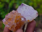 Natural Spirit Amethyst and Spirit Ametrine Crystals x 20 From Boekenhouthoek, South Africa - Toprock Gemstones and Minerals 