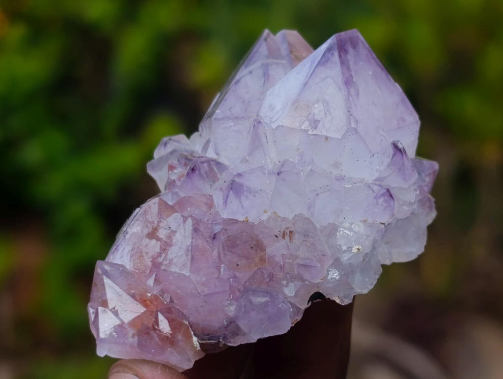 Natural Spirit Amethyst and Spirit Ametrine Crystals x 20 From Boekenhouthoek, South Africa - Toprock Gemstones and Minerals 