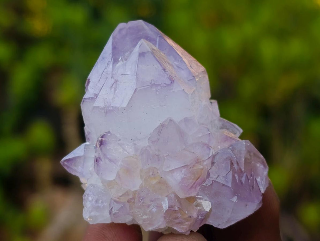 Natural Spirit Amethyst and Spirit Ametrine Crystals x 20 From Boekenhouthoek, South Africa - Toprock Gemstones and Minerals 