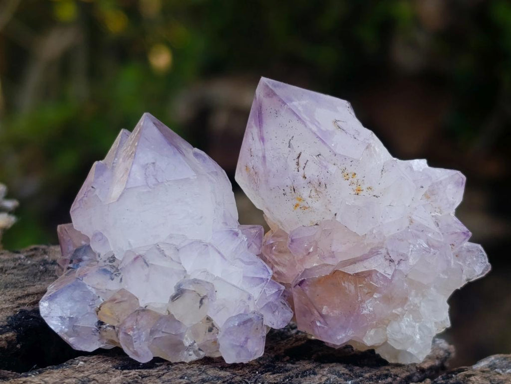 Natural Spirit Amethyst and Spirit Ametrine Crystals x 20 From Boekenhouthoek, South Africa - Toprock Gemstones and Minerals 