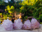Natural Spirit Amethyst and Spirit Ametrine Crystals x 20 From Boekenhouthoek, South Africa - Toprock Gemstones and Minerals 