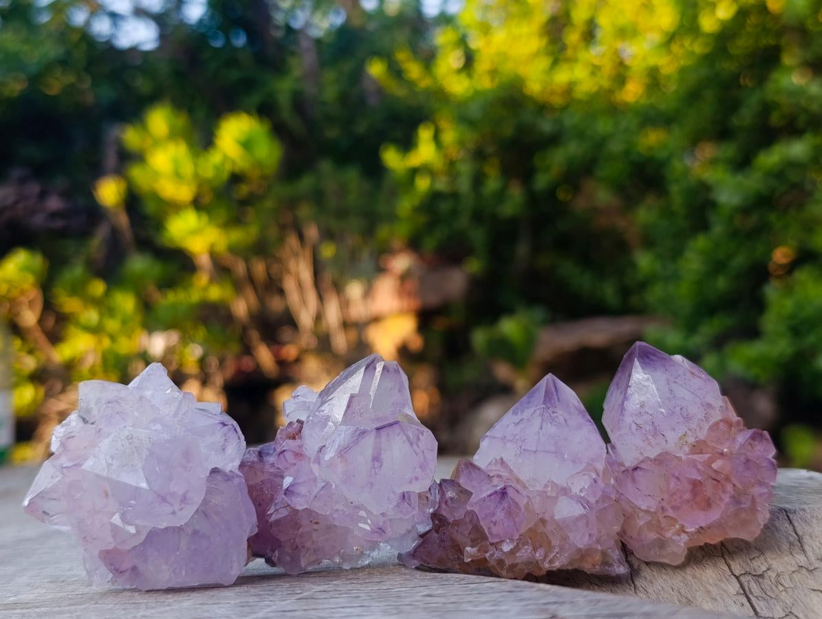 Natural Spirit Amethyst and Spirit Ametrine Crystals x 20 From Boekenhouthoek, South Africa - Toprock Gemstones and Minerals 