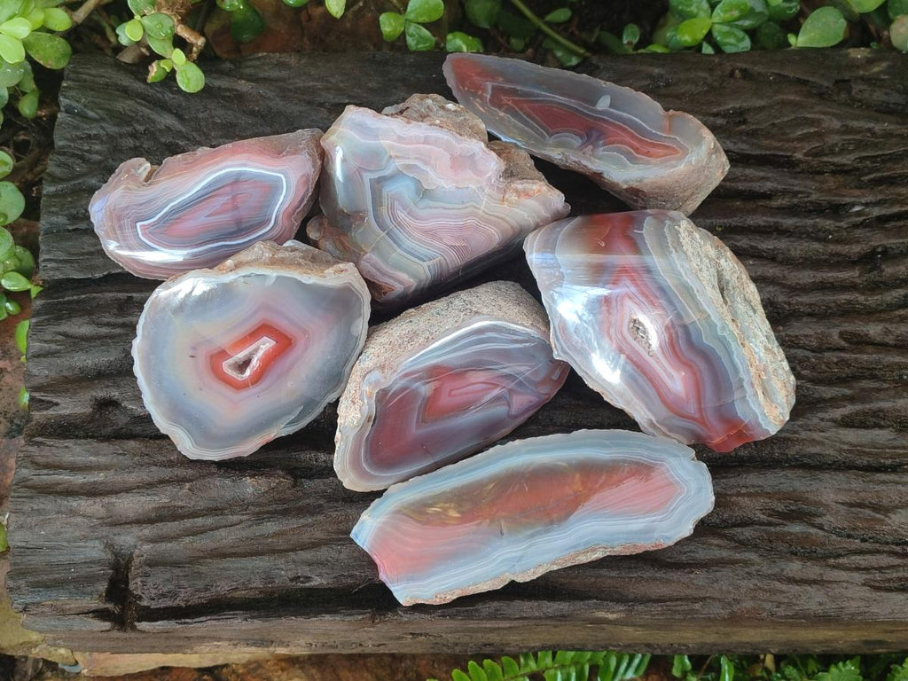 Polished One Side Red Shashe River Agate Nodules x 7 From Shashe River, Zimbabwe - Toprock Gemstones and Minerals 