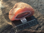 Polished One Side Red Shashe River Agate Nodules x 7 From Shashe River, Zimbabwe - Toprock Gemstones and Minerals 