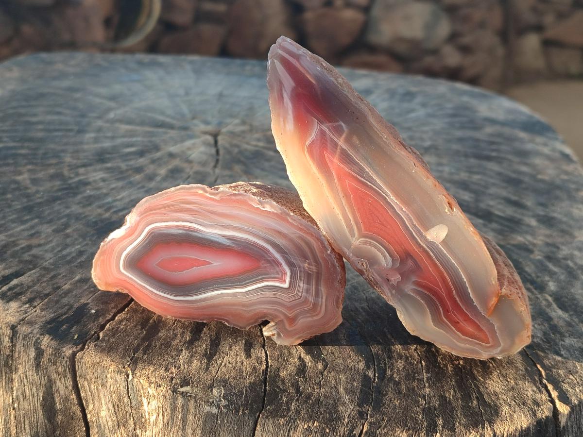 Polished One Side Red Shashe River Agate Nodules x 7 From Shashe River, Zimbabwe - Toprock Gemstones and Minerals 