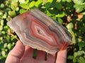 Polished One Side Red Shashe River Agate Nodules x 7 From Shashe River, Zimbabwe - Toprock Gemstones and Minerals 