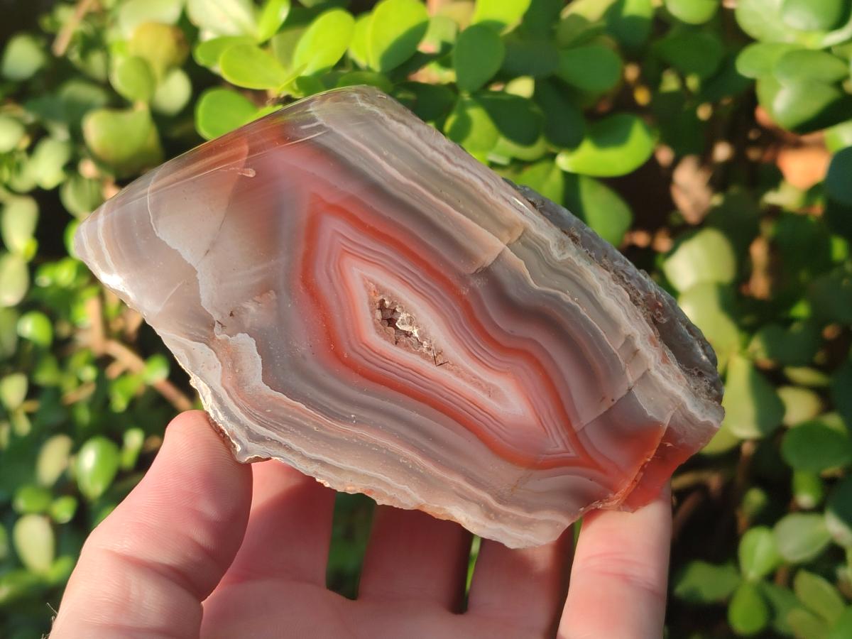 Polished One Side Red Shashe River Agate Nodules x 7 From Shashe River, Zimbabwe - Toprock Gemstones and Minerals 