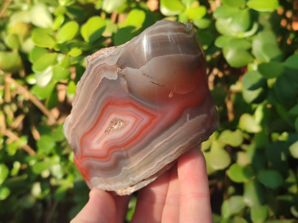 Polished One Side Red Shashe River Agate Nodules x 7 From Shashe River, Zimbabwe - Toprock Gemstones and Minerals 