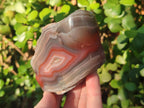Polished One Side Red Shashe River Agate Nodules x 7 From Shashe River, Zimbabwe - Toprock Gemstones and Minerals 