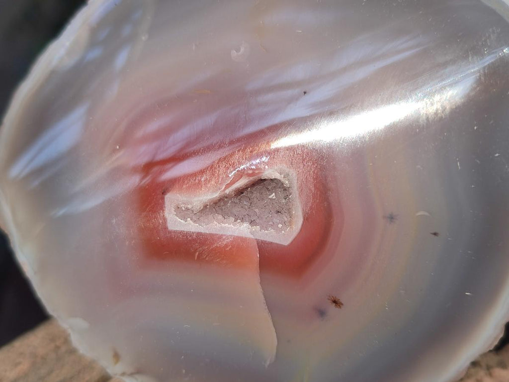 Polished One Side Red Shashe River Agate Nodules x 7 From Shashe River, Zimbabwe - Toprock Gemstones and Minerals 