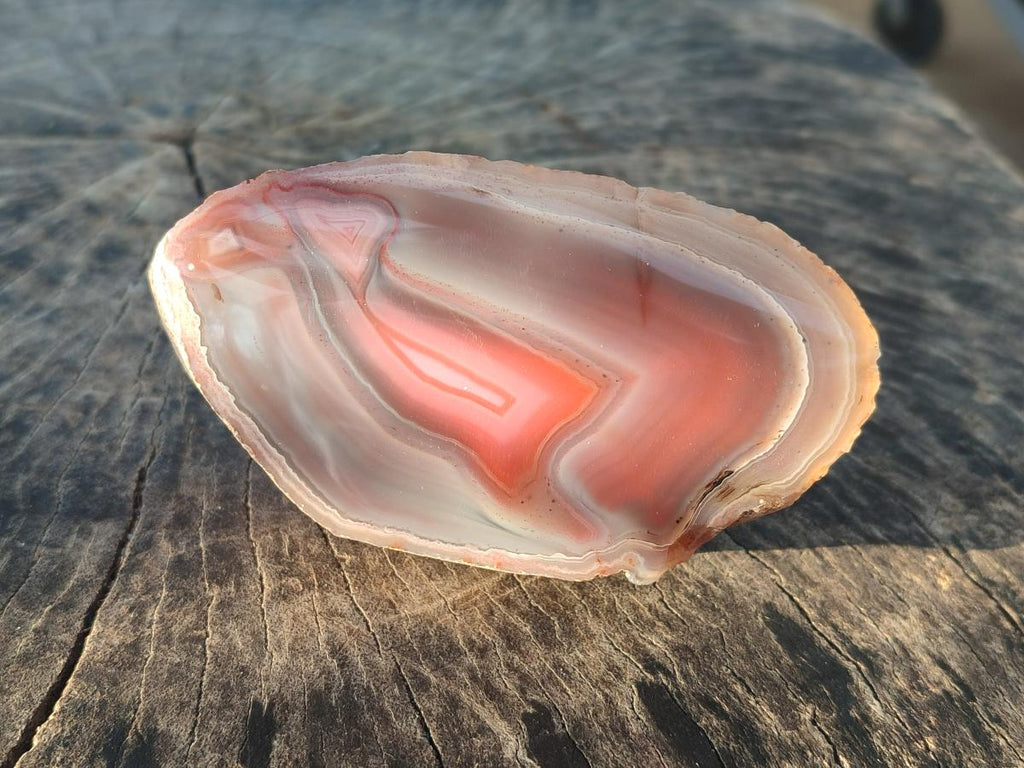Polished One Side Red Shashe River Agate Nodules x 7 From Shashe River, Zimbabwe - Toprock Gemstones and Minerals 