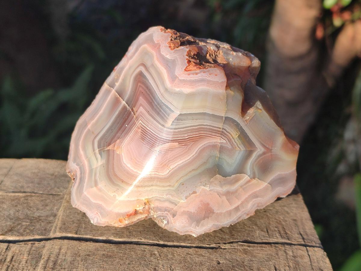 Polished One Side Red Shashe River Agate Nodules x 7 From Shashe River, Zimbabwe - Toprock Gemstones and Minerals 