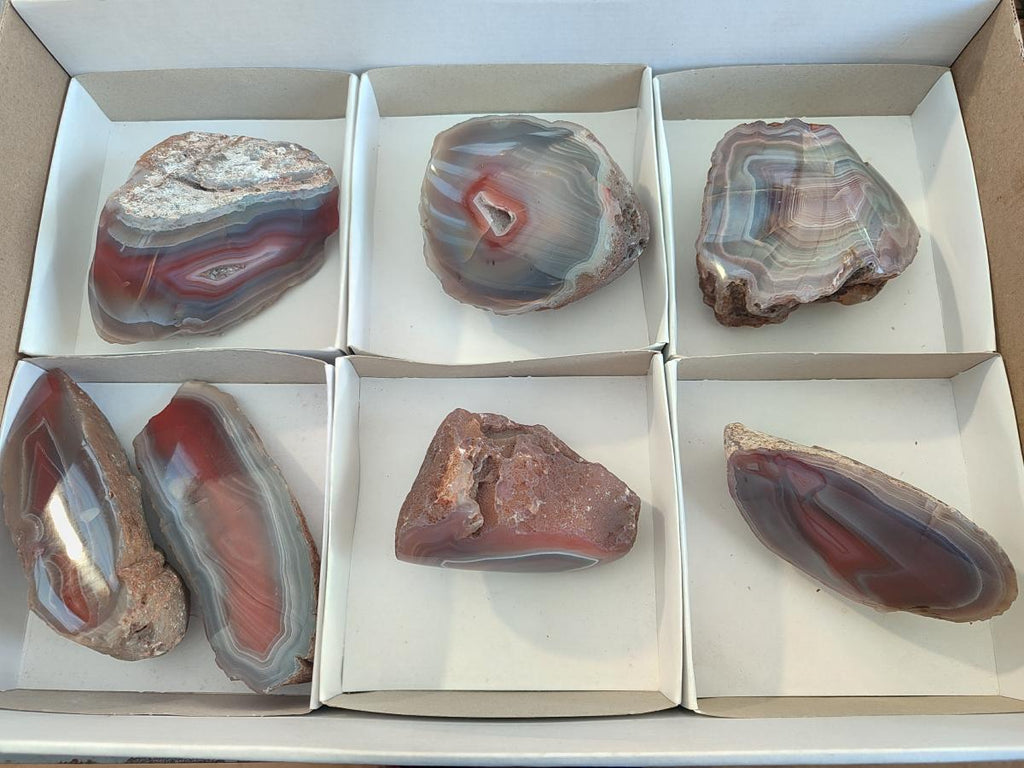 Polished One Side Red Shashe River Agate Nodules x 7 From Shashe River, Zimbabwe - Toprock Gemstones and Minerals 
