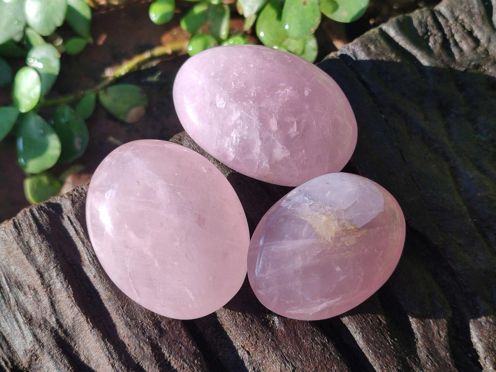 Polished Gemmy Rose Quartz Palm Stones x 24 From Madagascar - Toprock Gemstones and Minerals 