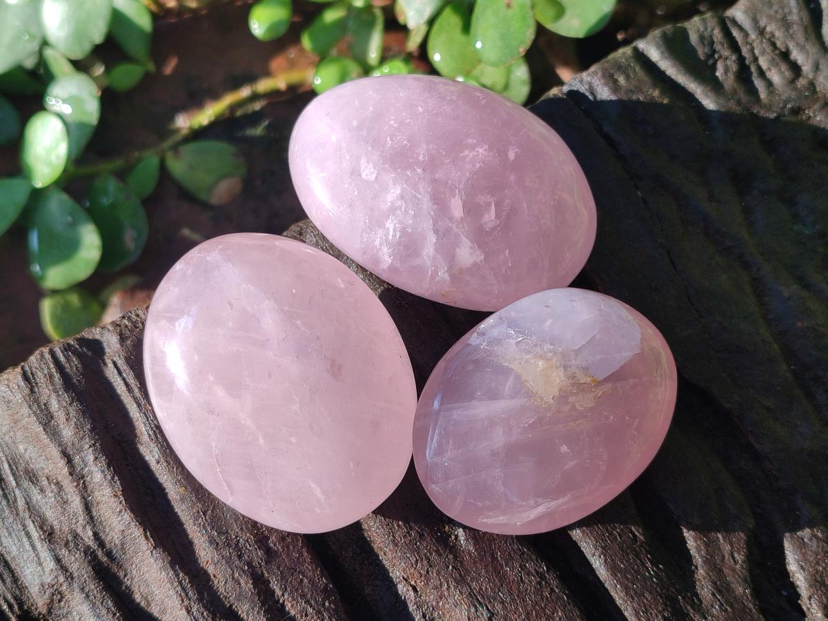Polished Gemmy Rose Quartz Palm Stones x 24 From Madagascar - Toprock Gemstones and Minerals 