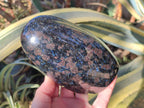 Polished Large "Water Sapphire" Standing Display Pieces with Sillimanite x 2 From Ambatofinandrahana, Madagascar - Toprock Gemstones and Minerals 
