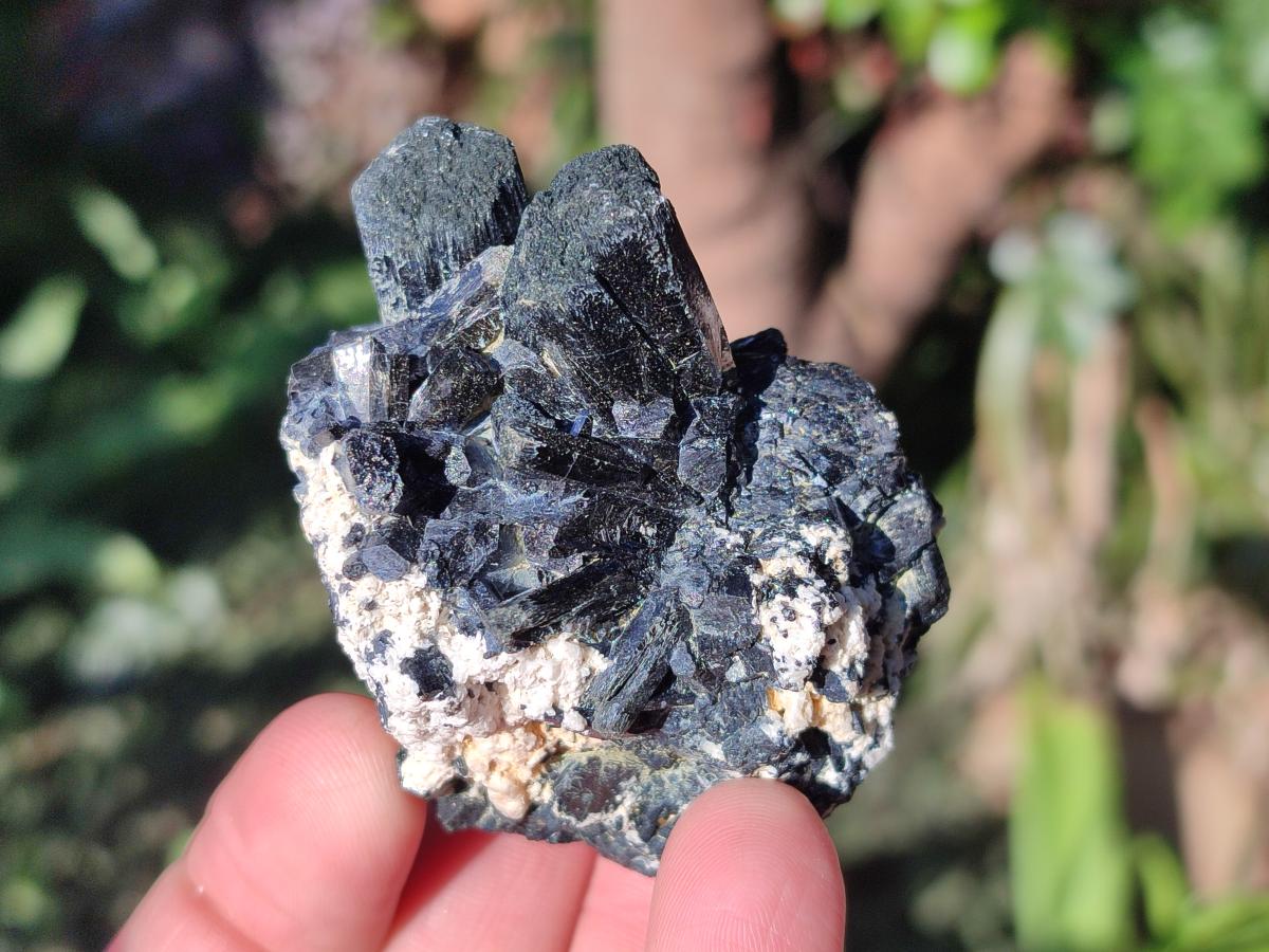 Natural Schorl Black Tourmaline Specimens x 6 From Erongo, Namibia - Toprock Gemstones and Minerals 