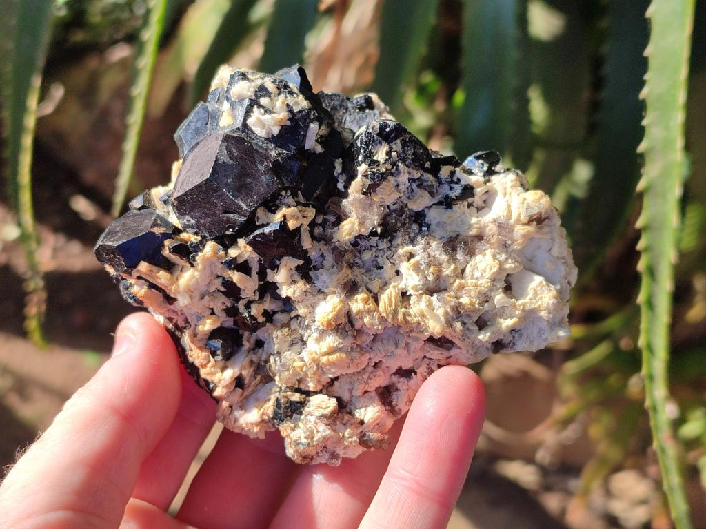 Natural Schorl Black Tourmaline Specimens x 6 From Erongo, Namibia - Toprock Gemstones and Minerals 