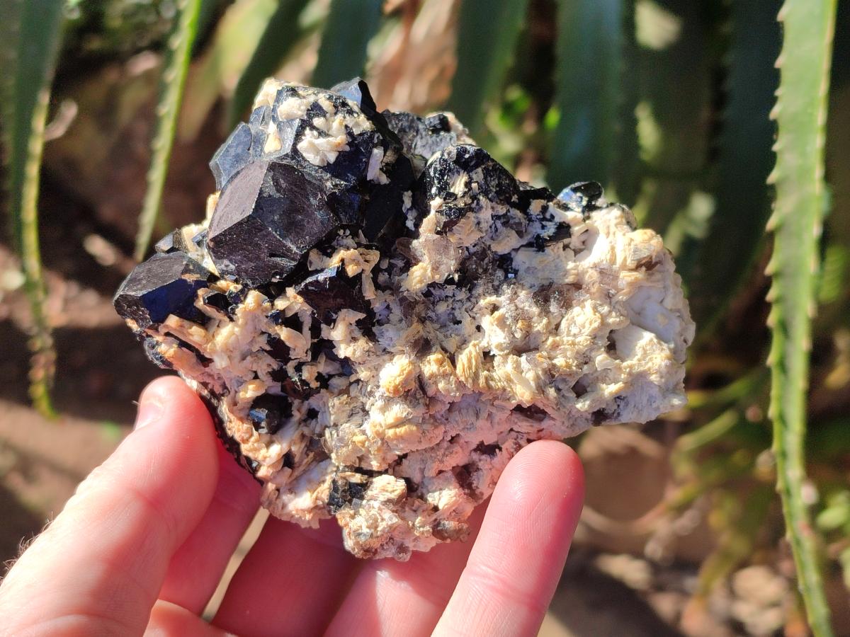 Natural Schorl Black Tourmaline Specimens x 6 From Erongo, Namibia - Toprock Gemstones and Minerals 