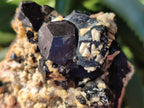 Natural Schorl Black Tourmaline Specimens x 6 From Erongo, Namibia - Toprock Gemstones and Minerals 