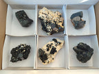 Natural Schorl Black Tourmaline Specimens x 6 From Erongo, Namibia - Toprock Gemstones and Minerals 