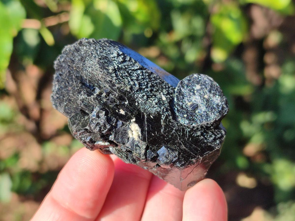 Natural Schorl Black Tourmaline Specimens x 6 From Erongo, Namibia - Toprock Gemstones and Minerals 