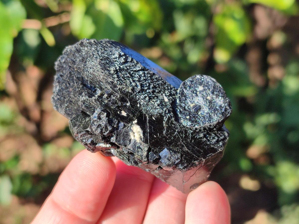 Natural Schorl Black Tourmaline Specimens x 6 From Erongo, Namibia - Toprock Gemstones and Minerals 