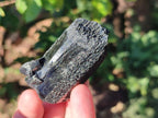 Natural Schorl Black Tourmaline Specimens x 6 From Erongo, Namibia - Toprock Gemstones and Minerals 