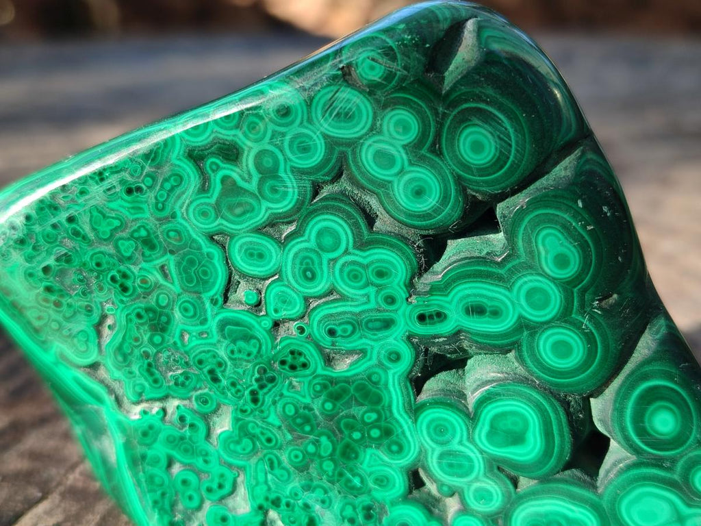 Polished Malacolla Free Forms x 6 From Kulukuluku, Congo - Toprock Gemstones and Minerals 