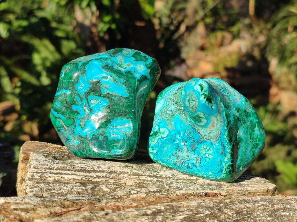 Polished Malacolla Free Forms x 6 From Kulukuluku, Congo - Toprock Gemstones and Minerals 