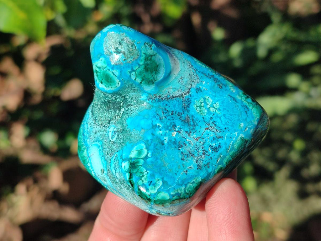 Polished Malacolla Free Forms x 6 From Kulukuluku, Congo - Toprock Gemstones and Minerals 