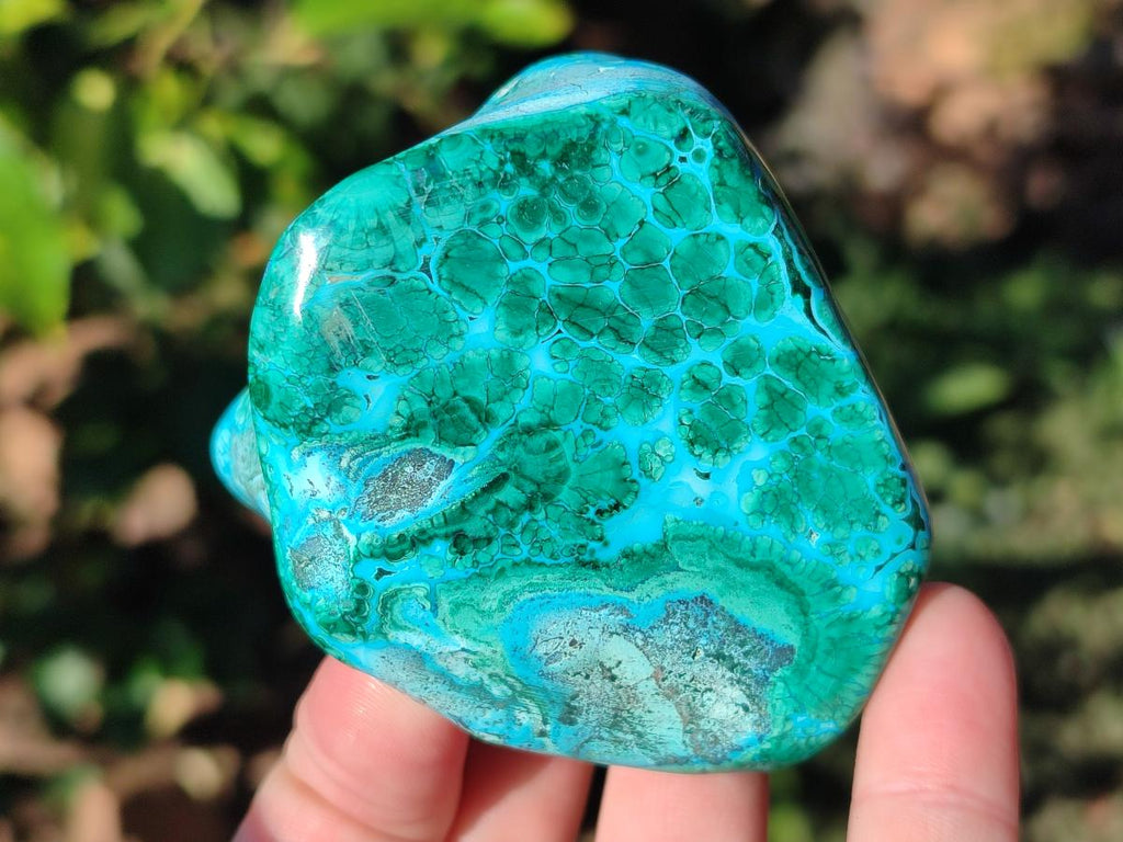 Polished Malacolla Free Forms x 6 From Kulukuluku, Congo - Toprock Gemstones and Minerals 