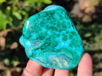 Polished Malacolla Free Forms x 6 From Kulukuluku, Congo - Toprock Gemstones and Minerals 