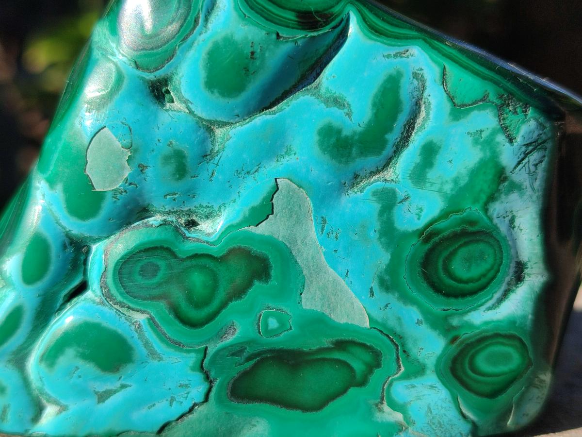 Polished Malacolla Free Forms x 6 From Kulukuluku, Congo - Toprock Gemstones and Minerals 