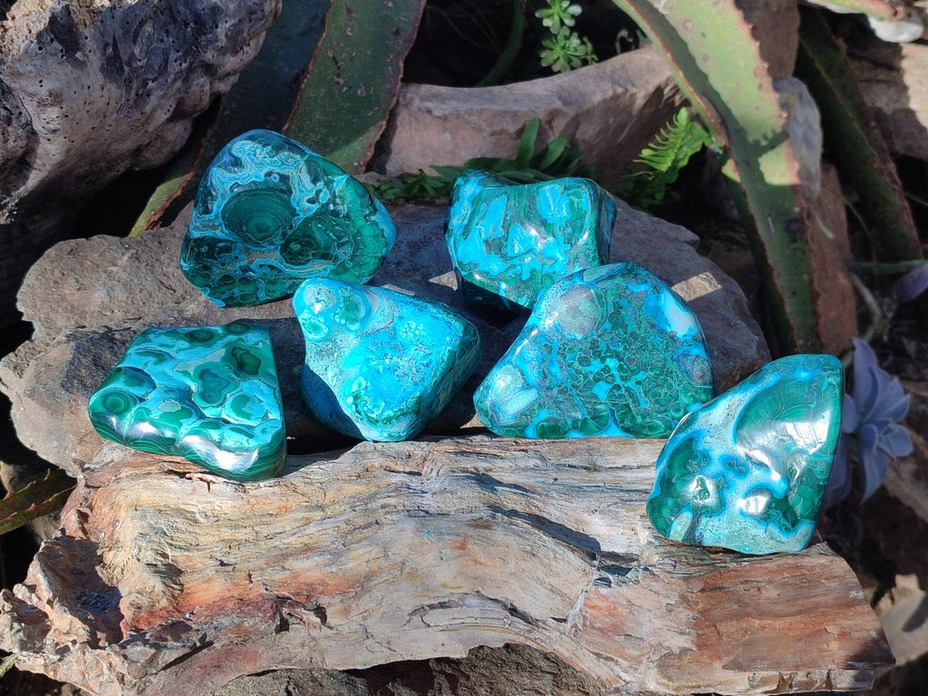 Polished Malacolla Free Forms x 6 From Kulukuluku, Congo - Toprock Gemstones and Minerals 