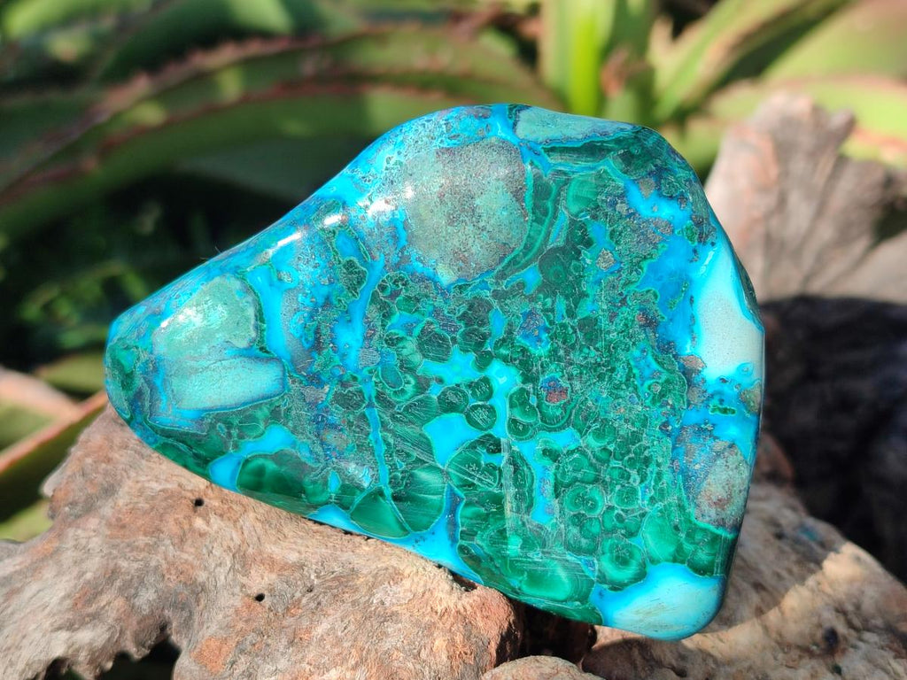 Polished Malacolla Free Forms x 6 From Kulukuluku, Congo - Toprock Gemstones and Minerals 