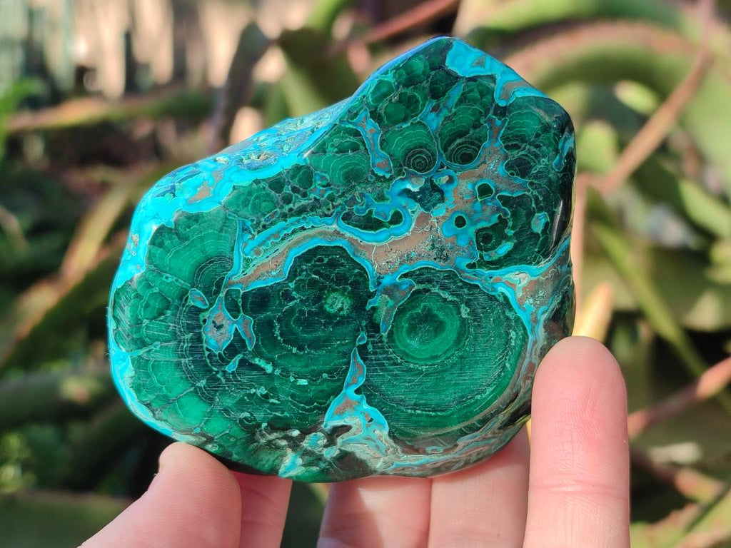 Polished Malacolla Free Forms x 6 From Kulukuluku, Congo - Toprock Gemstones and Minerals 